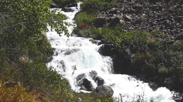 Horizontal footage of current of fast, turbulent mountain river, bright sunny day. Trees and vegetation grow along banks, water flows from background to front diagonally with height differences