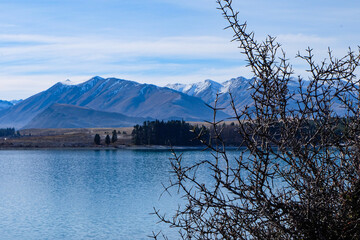 Road trip, Winter, Snowflake and frost over grass and wild flower, Lake Tekapo, Canterbury, New...