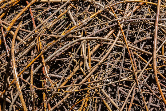 Tangled pile of dry twigs and branches various shades of brown.