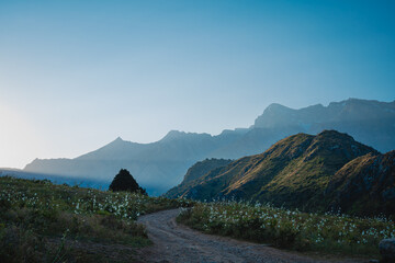 landscape in the morning