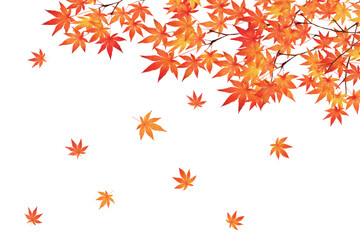 赤く紅葉した美しい紅葉の葉のオシャレなベクターの白バック秋背景素材フレーム