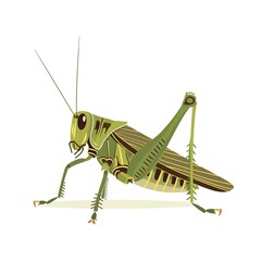 Fototapeta premium Grasshopper Scandinavian Minimalism animal fashion cartoon isolated whitebackground 16:9