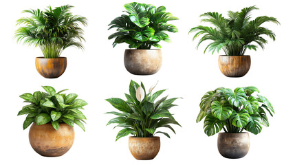 Collection of beautiful plants in ceramic pots isolated on transparent background generative ai