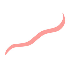 Beautiful ribbon isolated on white background