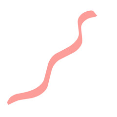 Beautiful ribbon isolated on white background