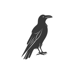 Fototapeta premium A black silhouette of a crow, standing on a white background