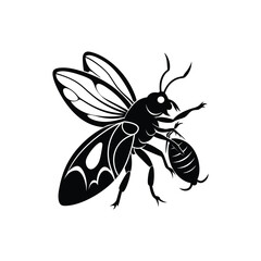 insect eating silhouette
