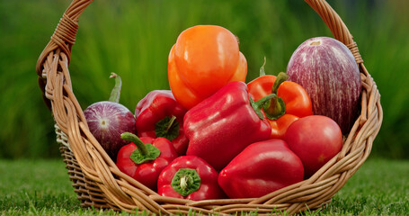 Basket of fresh vegetables including bell peppers, tomatoes, corn, and eggplant on a lush green lawn.