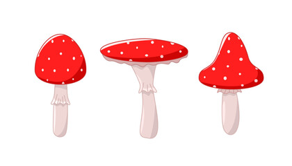 A set of poisonous fly agaric mushrooms, a vector illustration of forest inedible mushrooms.