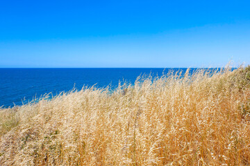 Hallette Cove Conservation, national park, South Australia 