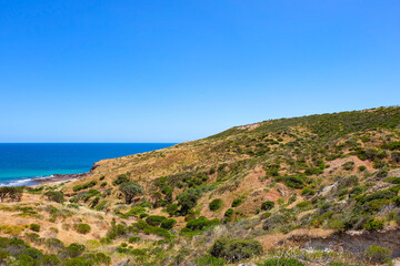 Obraz premium Hallette Cove Conservation, national park, South Australia 