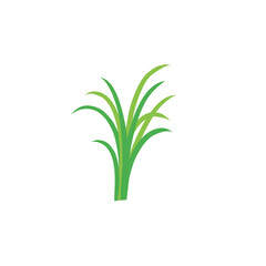Fototapeta premium Green grass design flat vector illustration on white background