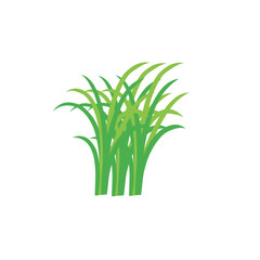 Fototapeta premium Green grass design flat vector illustration on white background