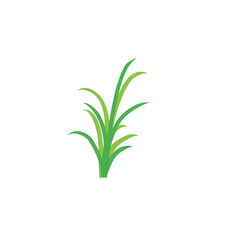  Green grass design flat vector illustration on white background