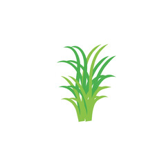  Green grass design flat vector illustration on white background