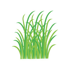 Green spring grass. Isolated on white background. Vector illustration.