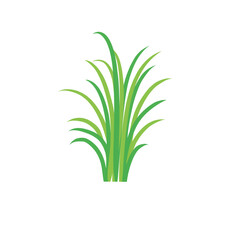 Fototapeta premium Green spring grass. Isolated on white background. Vector illustration.