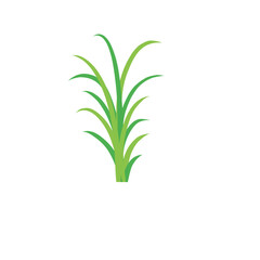 Green spring grass. Isolated on white background. Vector illustration.