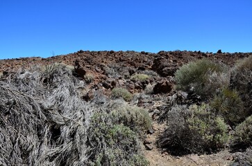Scenic view of volcanic rock formations in desert during sunny day, Teide National Park, Tenerife