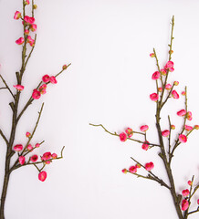 A top view of a White wood textured background decorated with almond rose flowers