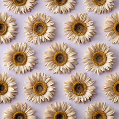 seamless pattern with sunflowers, flower, summer, nature, yellow, sunflowers, field, plant, sun, flowers, blossom, agriculture, beauty, petal, garden, floral, bright, leaf, isolated, flora, bloom, col