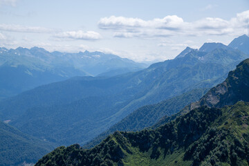 View of rocky mountains and forest on a sunny summer day