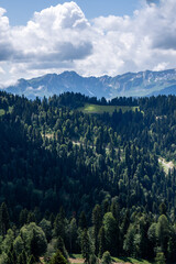 View of rocky mountains and forest on a sunny summer day
