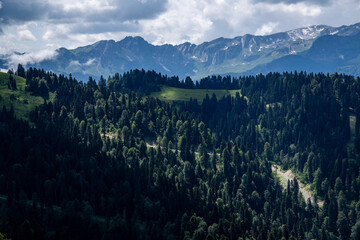 View of the Rocky Mountains on a sunny summer day