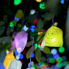 カラフルな電飾、ライトアップされたイルミネーション