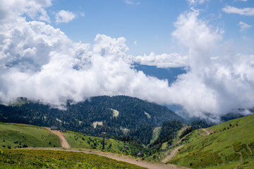 View of rocky mountains and forest on a sunny summer day