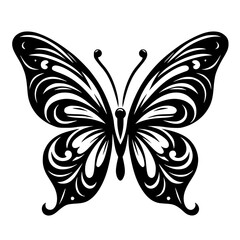 butterfly isolated on white