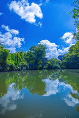 Fototapete bei efototapeten.de bestellen   