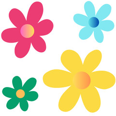 Colorful Daisy Flower Set