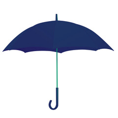 Blue Umbrella with Green Handle