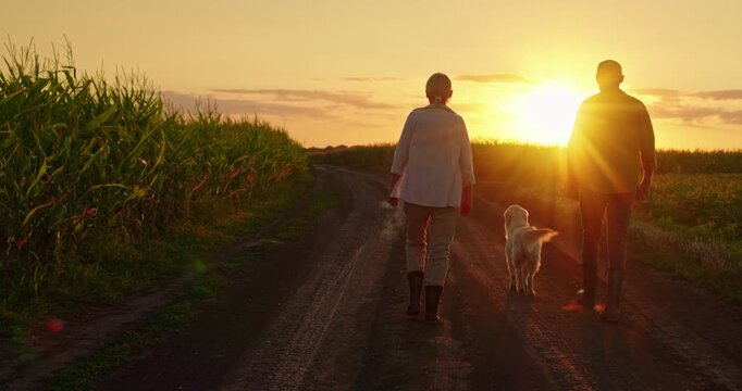 A couple of farmers walk along a country road through fields with their Golden Retriever dog, set against a beautiful sunset.