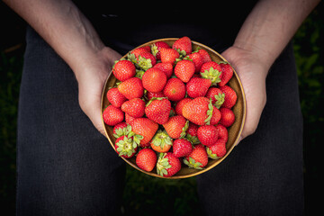 Fruits of summer: fresh strawberries in a bowl in hands