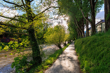 Fototapeta premium Uferweg entlang der Straße Oberau am Fluss Dreisam in Freiburg