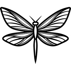 Dragonfly Wings art vector illustration