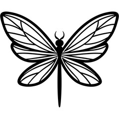 Dragonfly Wings art vector illustration