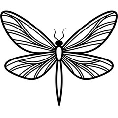 Dragonfly Wings art vector illustration