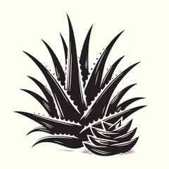 Aleo Vera Silhouette Vector Illustration