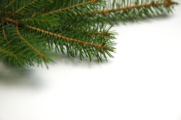 Christmas tree branch on white backdrop. Christmas border with copy space. Evergreen sprig, festive layout. Blurred
