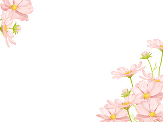 Fototapeta premium 水彩で描いたピンクのコスモスのフレーム背景イラスト