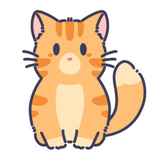 Orange cat cute