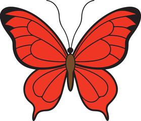 Butterfly icon - Colorful Butterfly logo isolated, Beautiful Butterfly illustration design