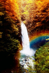 Palovit Waterfall in Camlihemsin Rize Turkey