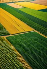 aerial drone view abundant harvest displaying lush fields filled ripe crops bountiful produce under clear blue sky, agriculture, fresh, fruit, garden, grain