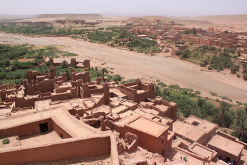 oasis in the desert