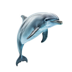 Obraz premium Explore the Joyful World of Dolphins. Marine Life Concept