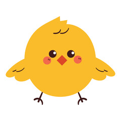 hand drawing cartoon chick. cute animal drawing, doodle set